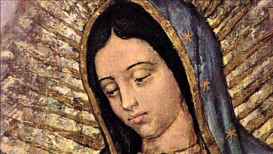 Guadalupe3